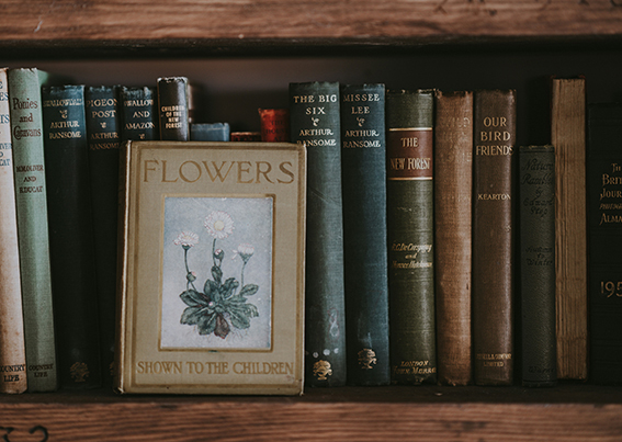 Differences between Dark Academia and Eclectic Witch. Herbal books