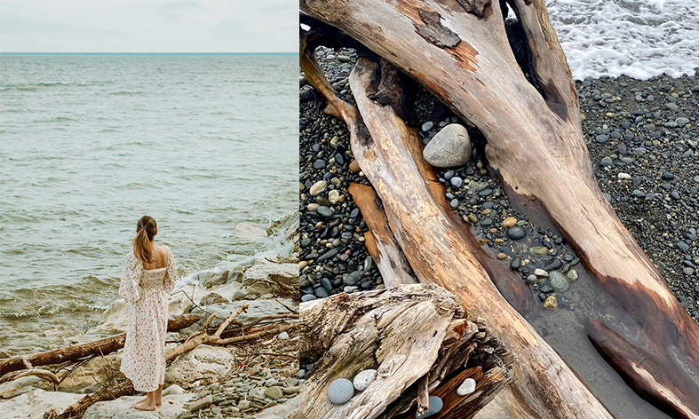 Make Shelves from Rustic Driftwood