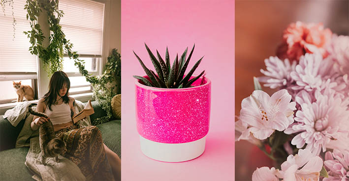 Boho Plants and Greenery Matches your Pink Paradise