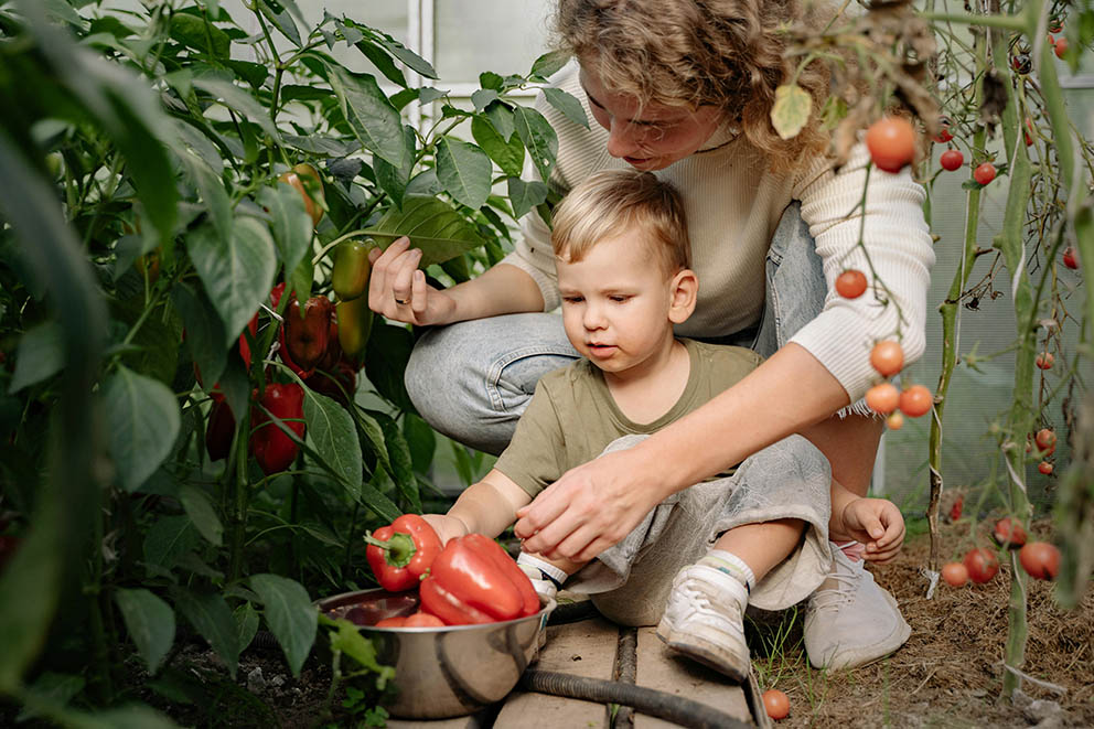 Gardening. Encouraging Hobbies, Passions, and Growth