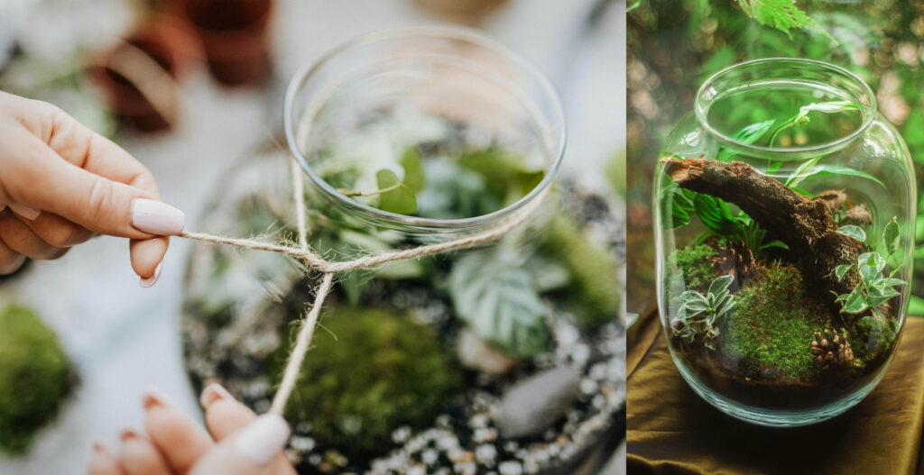 Easy tropical decor DIY projects home terrarium with succulents