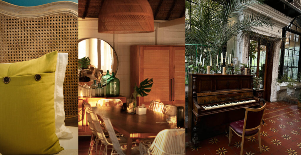Tropical decor and boho styles for a cohesive home