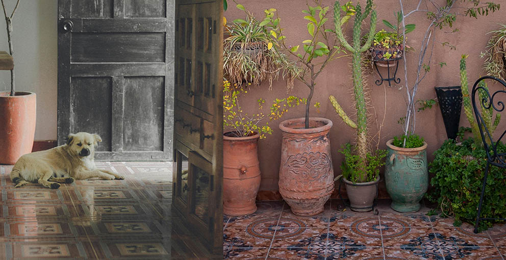 Plants, terracotta tiles, stone floors, and rustic wood bring the outdoors inside.