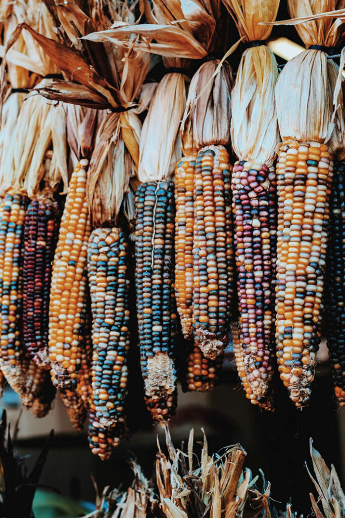 Indian corn decorations. And ideas on how to decorate with Indian corn