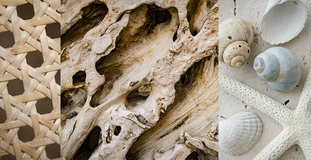 rattan, driftwood and seashells boho decor material