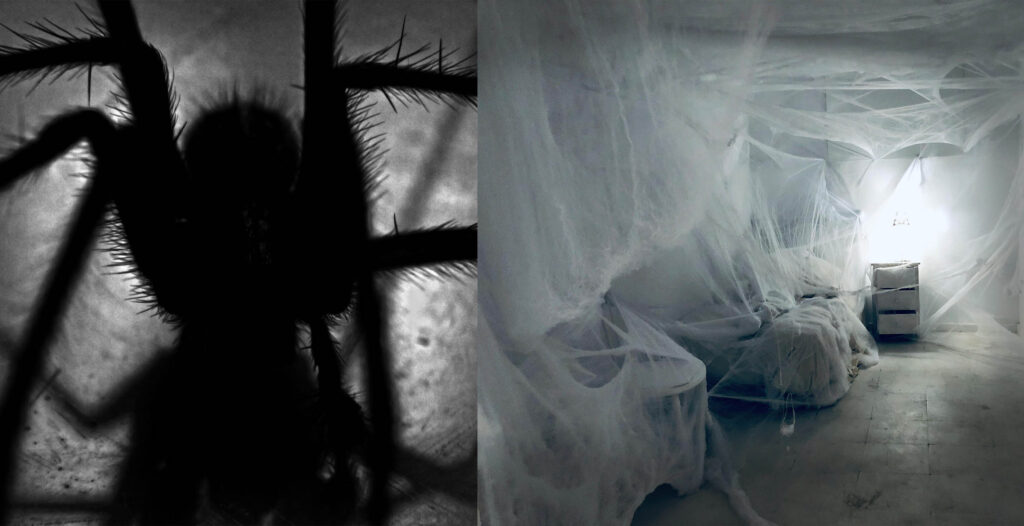 Scary spider web boho Halloween decor nest