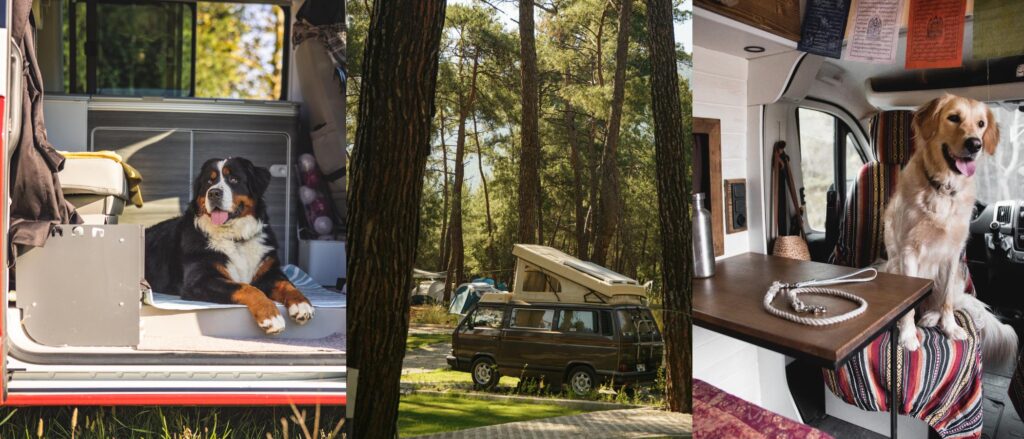 Boho campervan road trips for dog friendly vacations