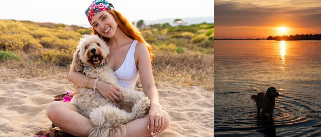 Dog friendly beaches and coastal travel destinations