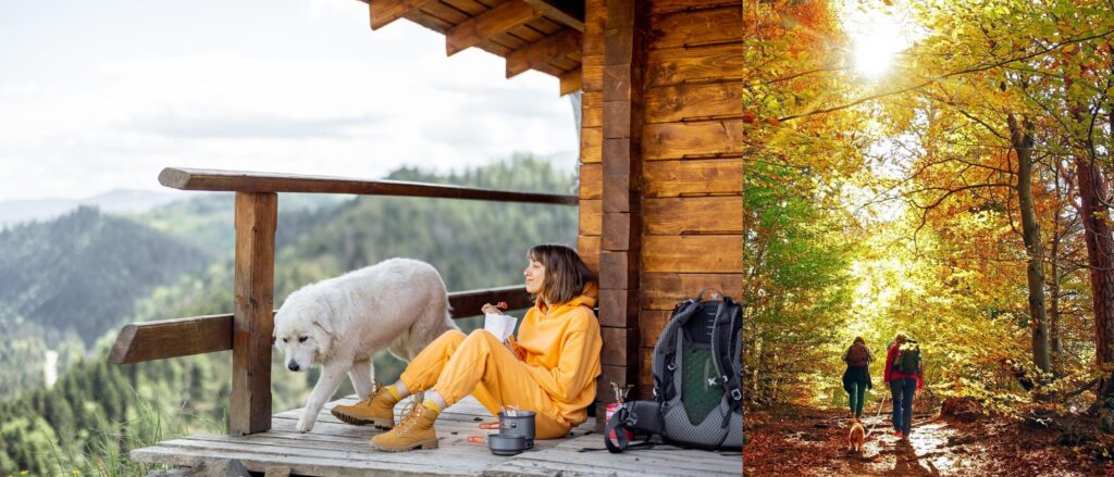 Dog friendly road trip plan