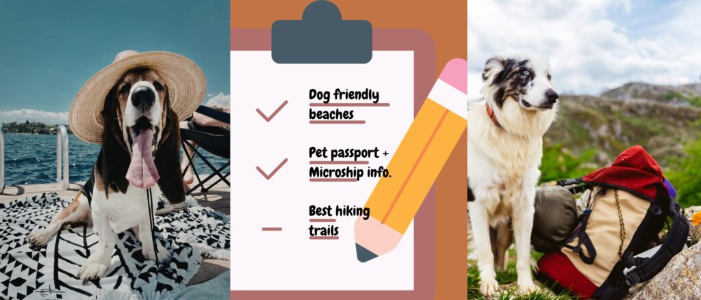 Dog friendly vacation checklist and tips. Planning your vacation with dogs.