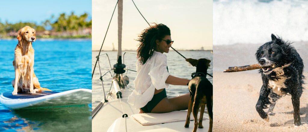 A Dog Friendly Vacation Filled with Water Adventures