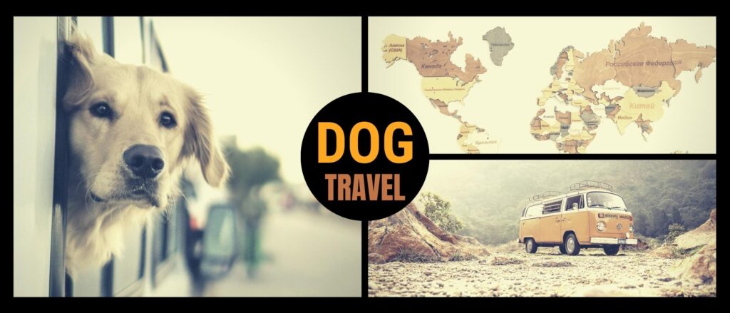 Dog friendly vacations. Travel with your dog. Road trips and camper van adventures. Air travel, hiking and beach destinations.