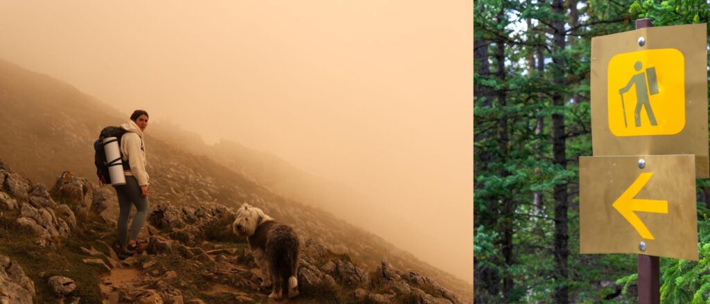 Dog friendly vacations with mountain hiking trails, and great outdoor adventures.