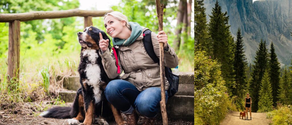 Travelling with dog and hiking vacation.